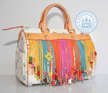 Louis Vuitton Multicolor Fringe Limited edition 2006 collection, Speedy 25 Bag